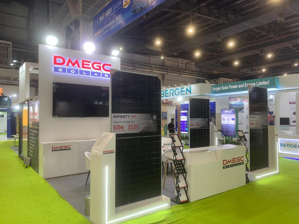 DMEGC Solar- REI 2024
